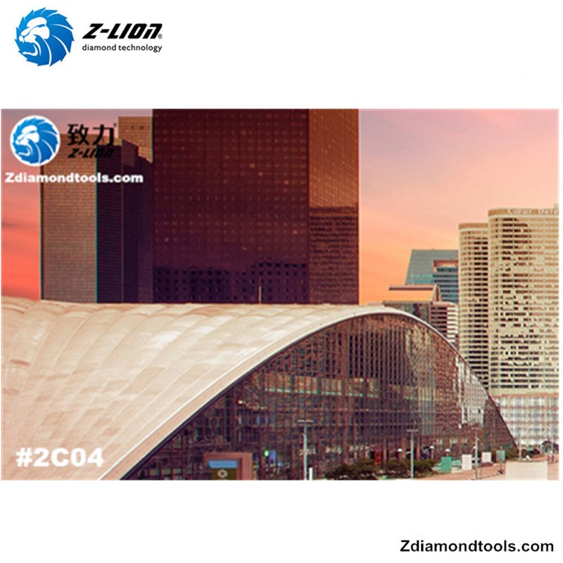 2019 10-я Китайская выставка полировки поверхности # Z-LION DIAMOND TOOLS